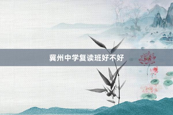 冀州中学复读班好不好