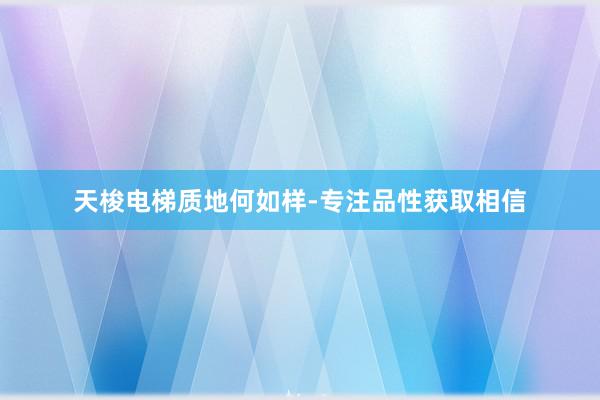 天梭电梯质地何如样-专注品性获取相信